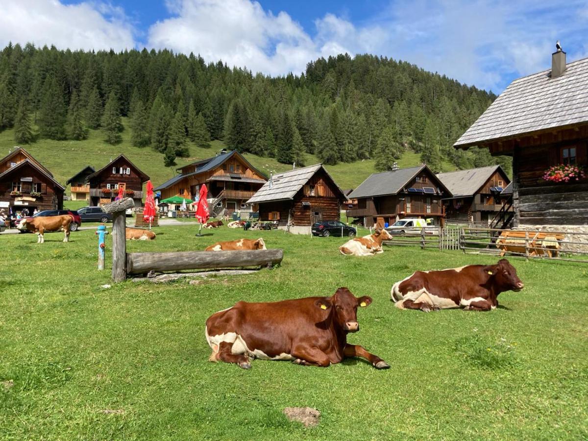 Berghaus Weissbriach Apartment Екстериор снимка
